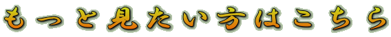 ƌ͂